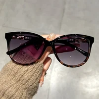 Women's Cat Eye Sunglasses Retro Butterfly Sunglasses Women's Fashion Mountaineering Sunglasses - Image 6