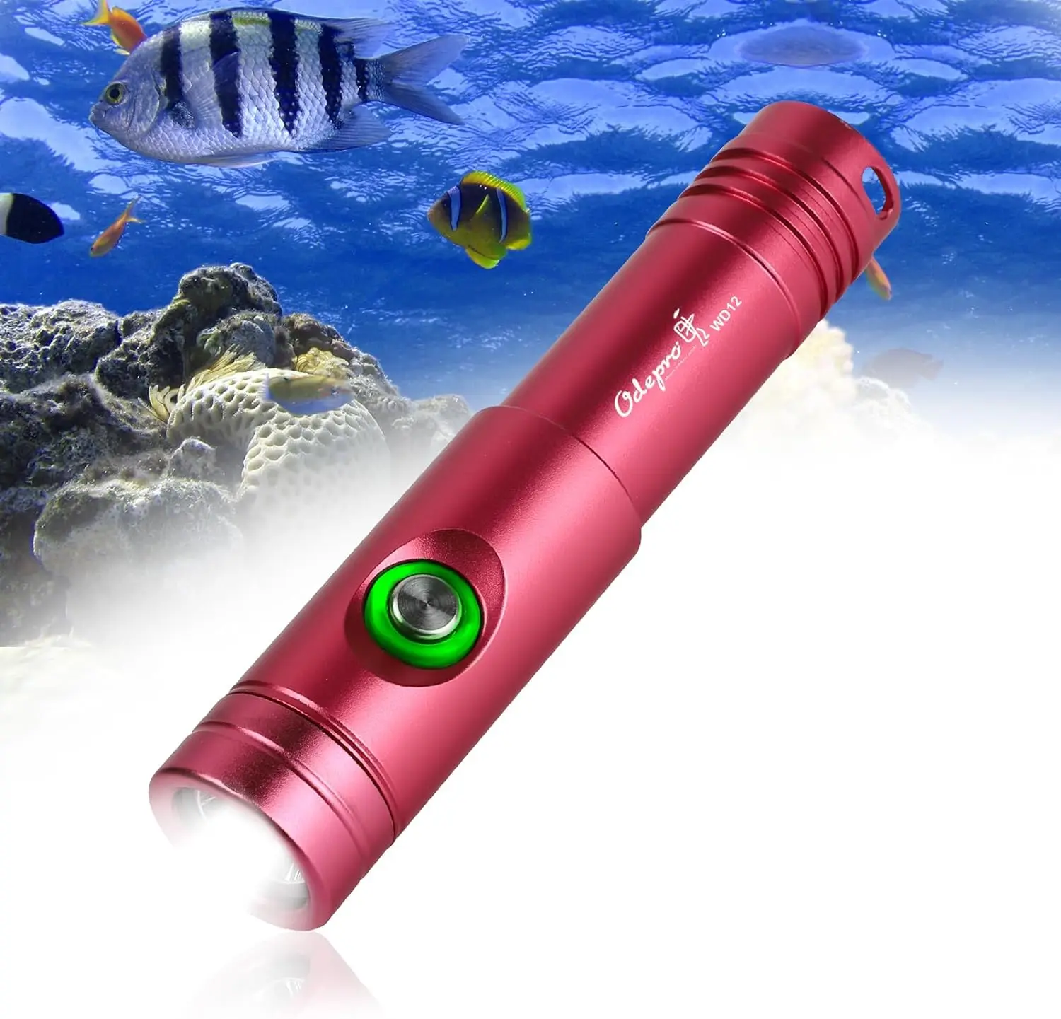 

Odepro WD12 Professional Underwater Lantern Powerful Scuba Diving Flashlight Dive Torch Light IP68 Waterproof Submersible Light