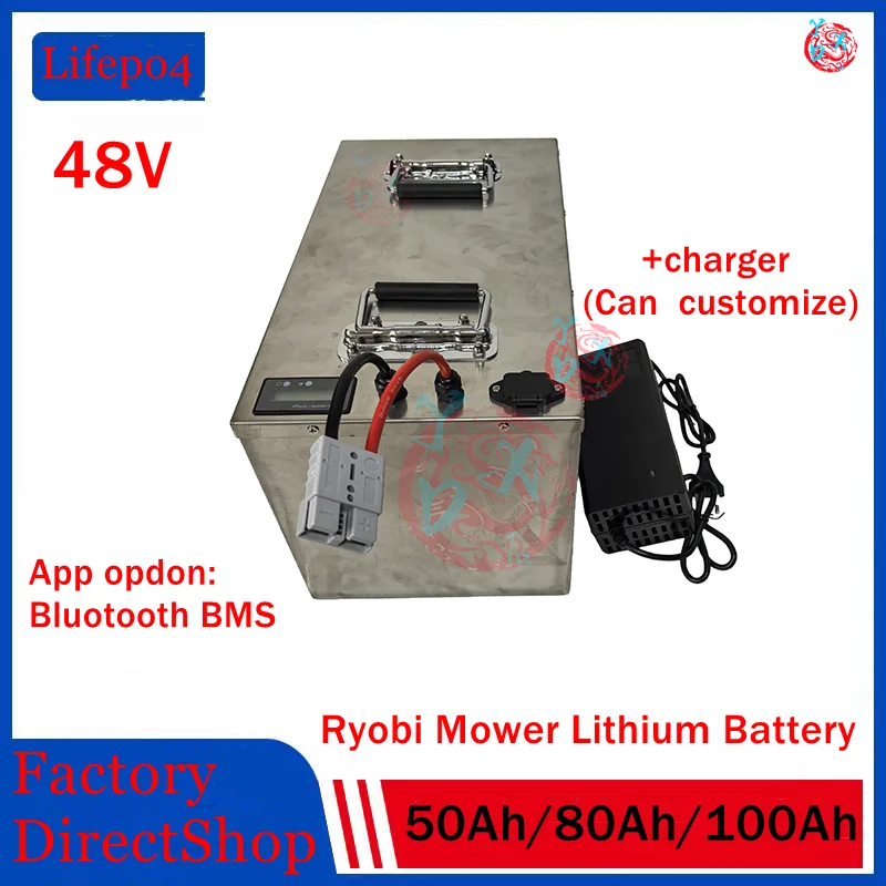 48V-50AH-80Ah-100Ah-Lifepo4-lithium-battery-pack-for-Ryobi-RM480e ...