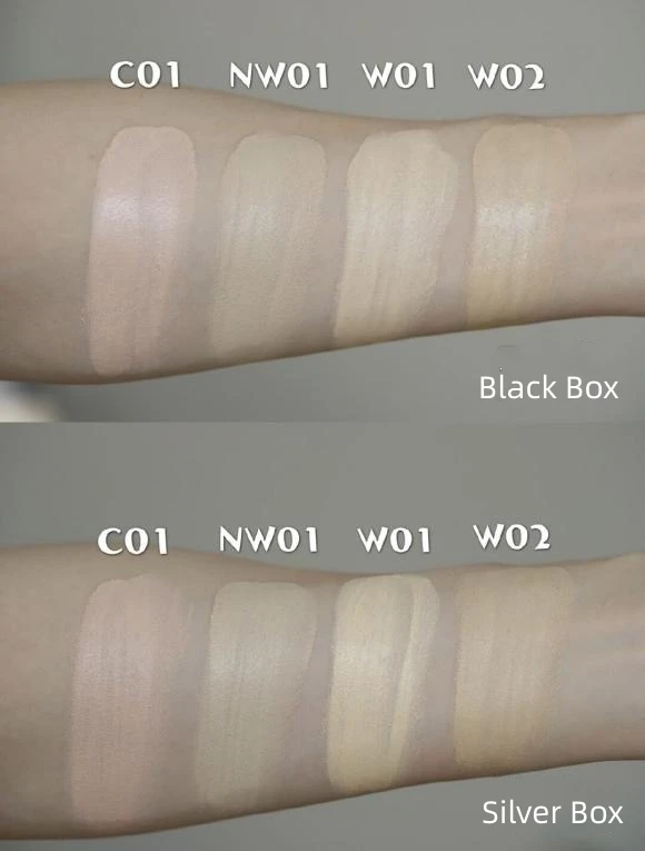 BlankMe Set Soft Focus Oil Control Silver Box Air Cushion Foundation Cream Makeup Base Moisturizing Foundation For Oily Skin 6
