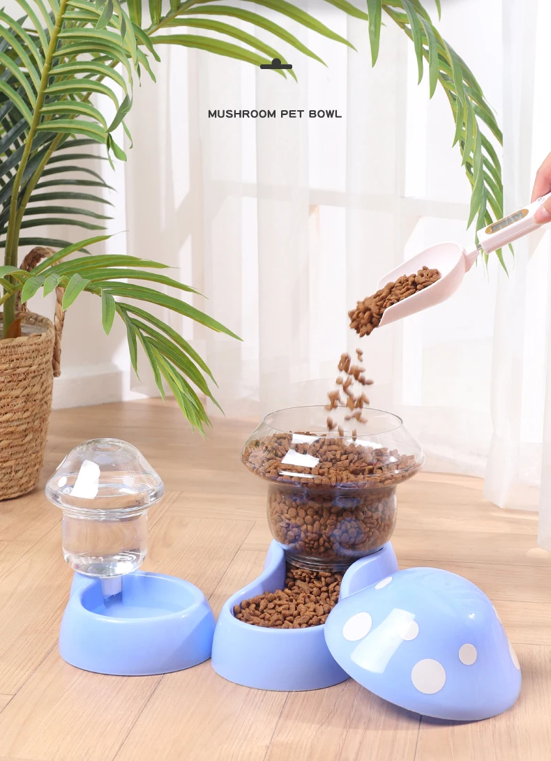 S63ceb32585ef4229b6ca8a2cff245697m