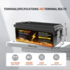 DATOUBOSS 12V200Ah300Ah LiFePO4 Battery High Capacity 2560Wh3840Wh Long Life 8000+Cycles  ABS Solar RV Off Grid Power Battery 3