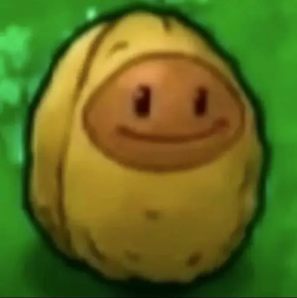 Sunnut Store