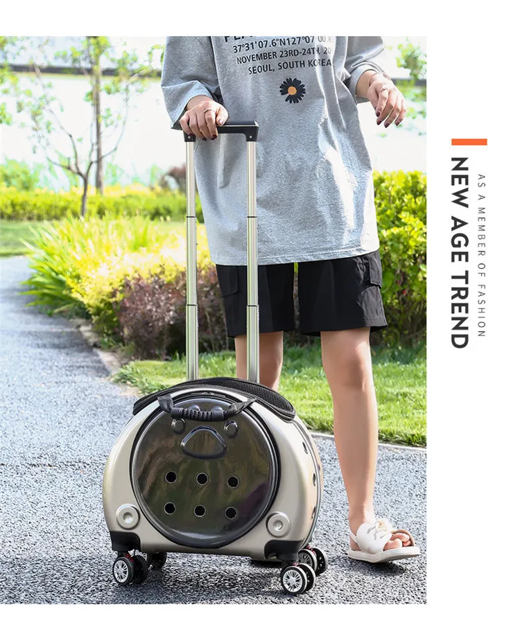 Title 52, Small Handbag Cats Carriers Transportin Outdoor...