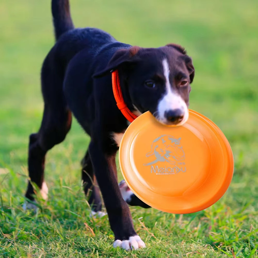 Durable Dog Training Disc - Lightweight, Easy-Catch Toy for Puppies & Adult Dogs, Essential Training Aid