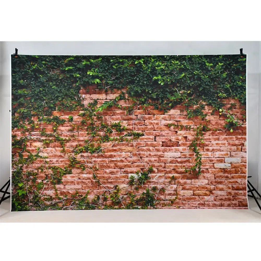 MOON.QG 자연 소박한 우드랜드 아치 밑의 통로 정원 경로 원더랜드 배경 사진 웨딩 파티 홈 배경 사진 스튜디오