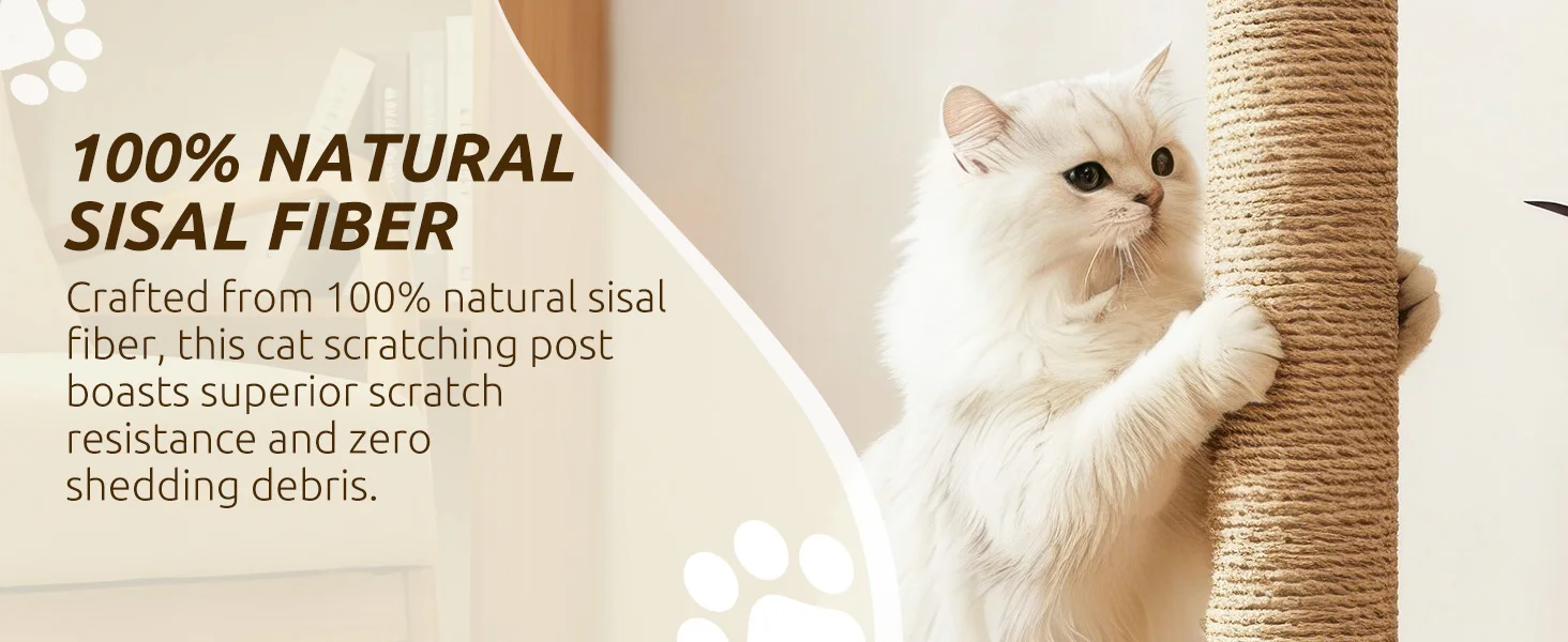 Cat scratching post
