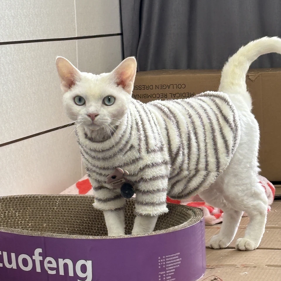 FATHIN 털이 없는 고양이 옷 스핑크스 데본 렉스용 따뜻한 두꺼운 부드러운 스웨터 줄무늬 겨울옷 편안한 착용감