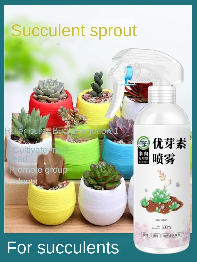 

Succulent Special-purpose Multi-head Side Bud Cytokinin-promoting Budding-promoting Growth-promoting Sprouting Puppies 500ML