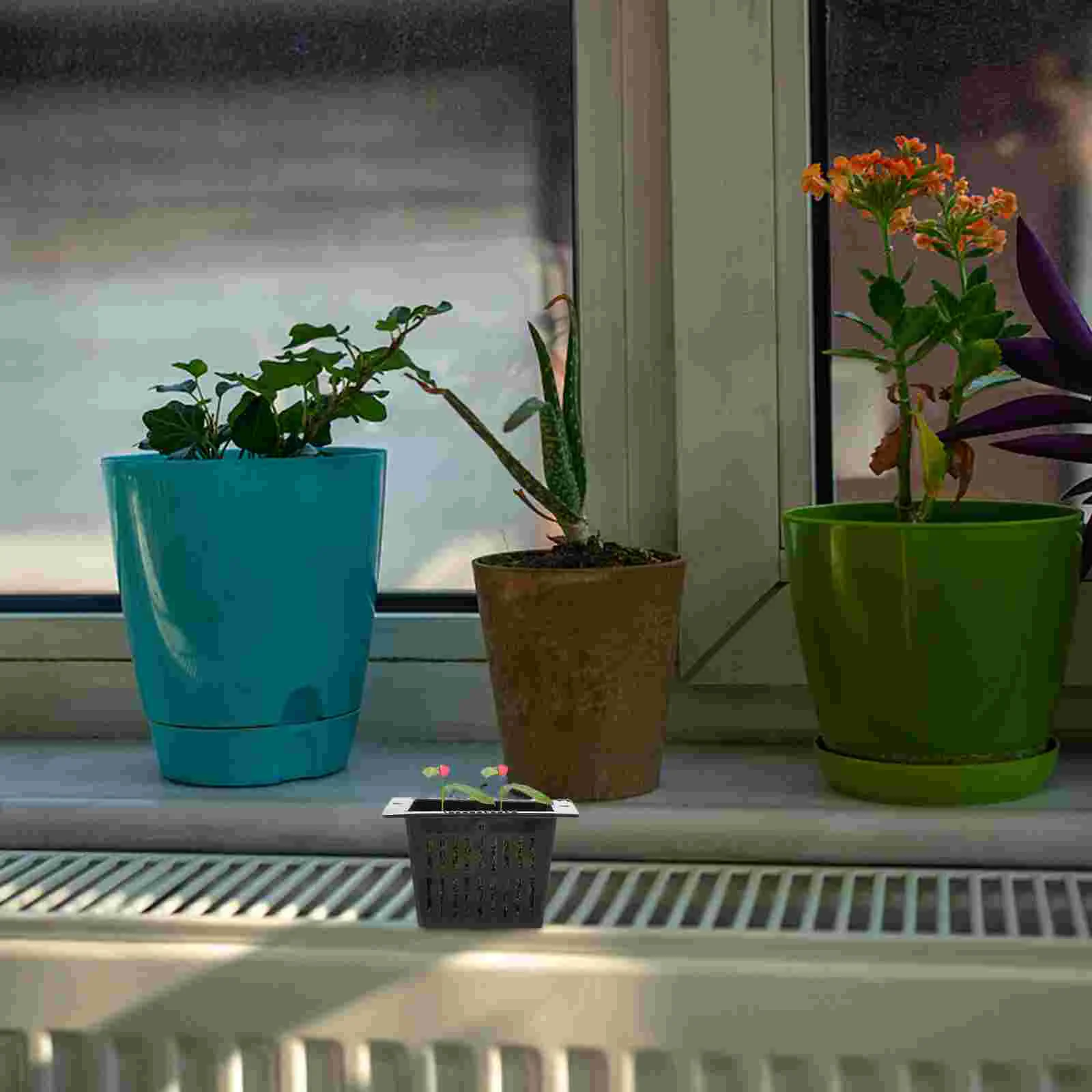 

Soilless Culture Pot Planting Basket Net Pots Hydroponic Vegetable Green Root Tool