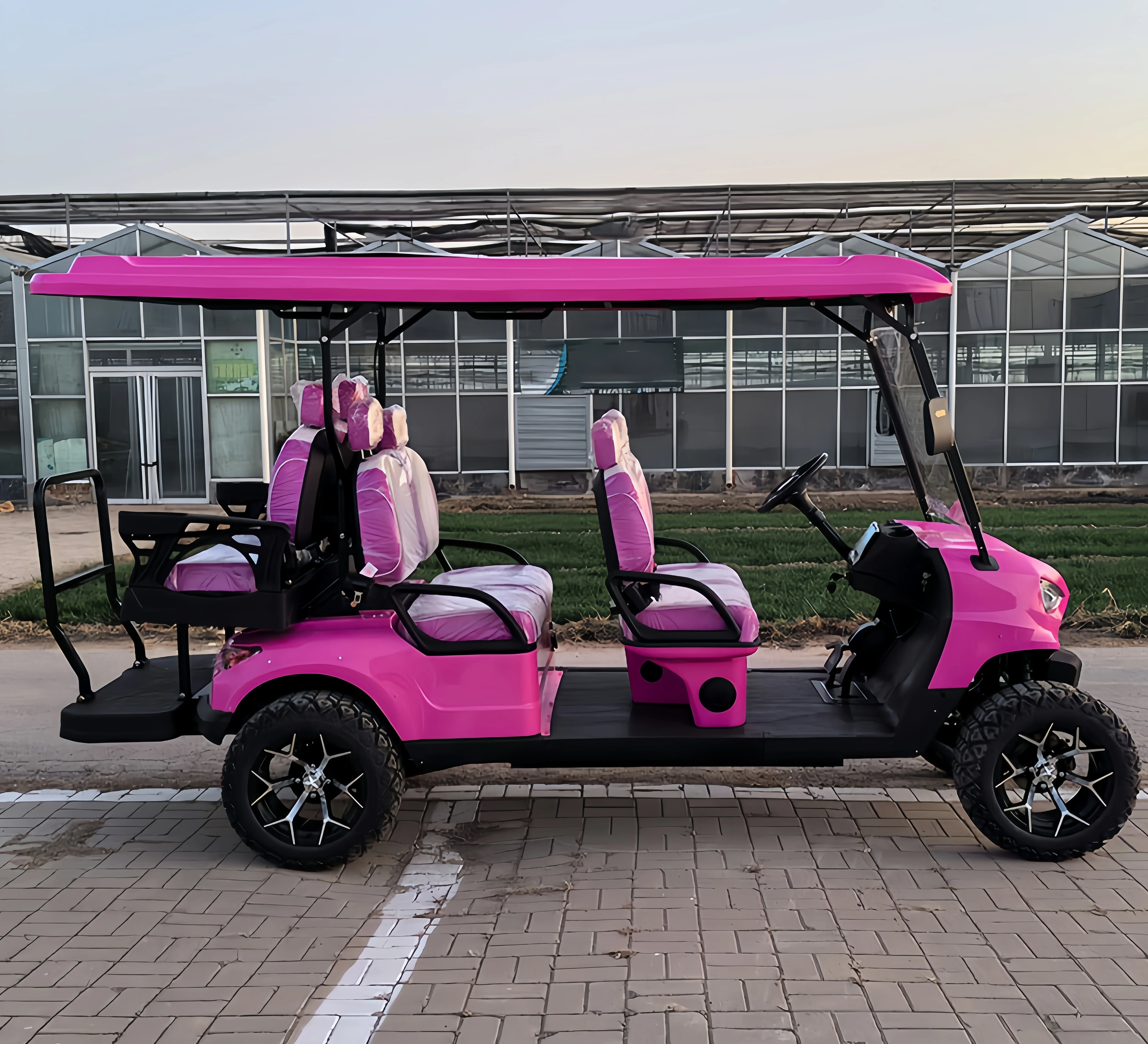 New 4 Wheel off Road Electric Golf Cart Club Car with CE