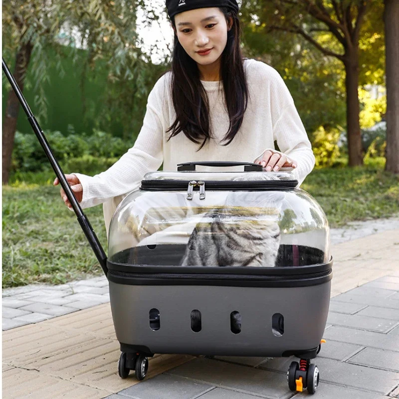 Fashion Transparent Cat Cage Large Capacity Pet Suitcase Breathable Cat Carriers Pull Rod/Handheld Dual Use Transport Cart
