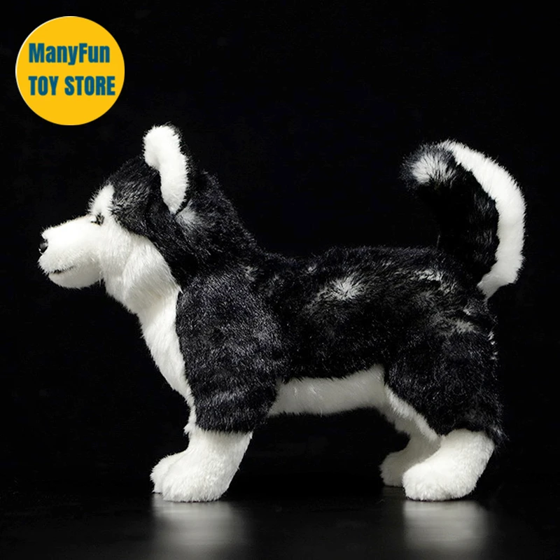 リアルなハスキードッグぬいぐるみ,ドラッキーアイズ,デュロイ,リアル