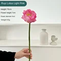 Ruyi Lotus LightPink