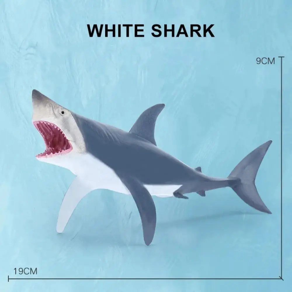 Marine Sea Life Action Figures - Whale, Shark, Cachalot & Dolphin Educational Toys