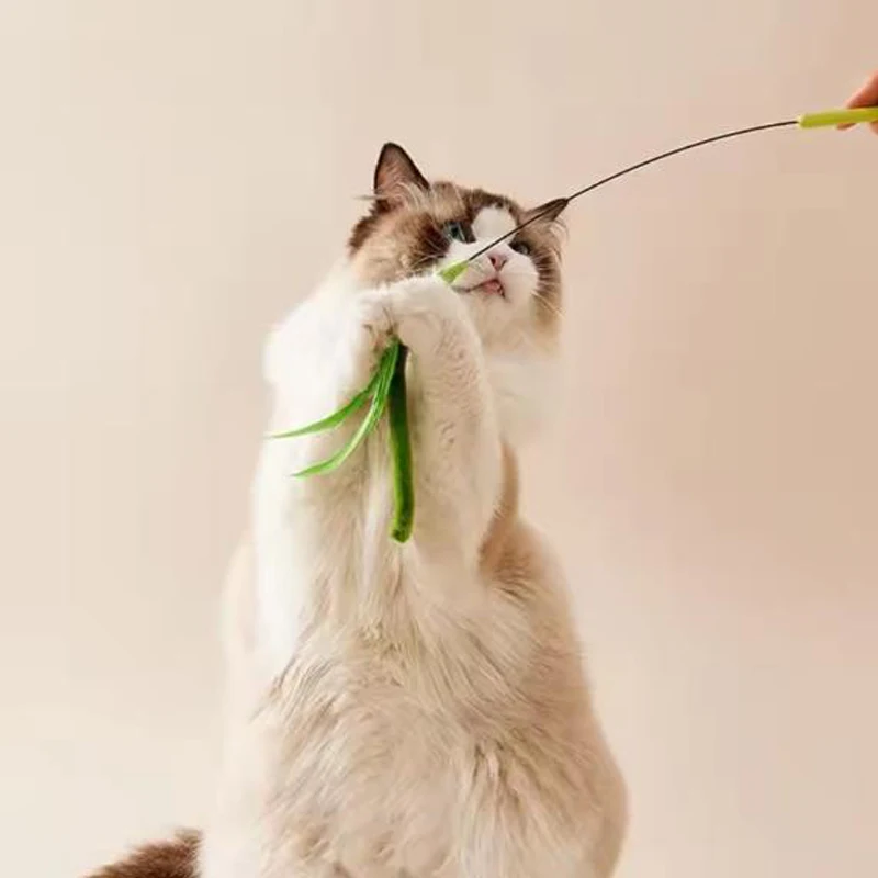 Durable Flexible Feather Pole Cat Toy