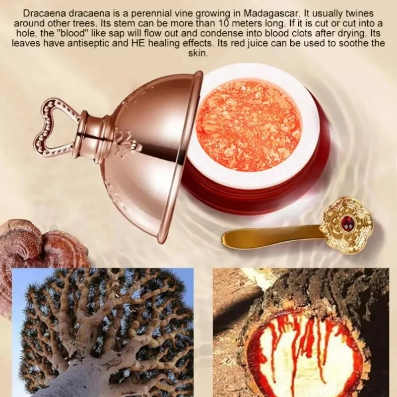 كريم وجه دم التنين الريتينول المشيمة جوهر اشراق رف...