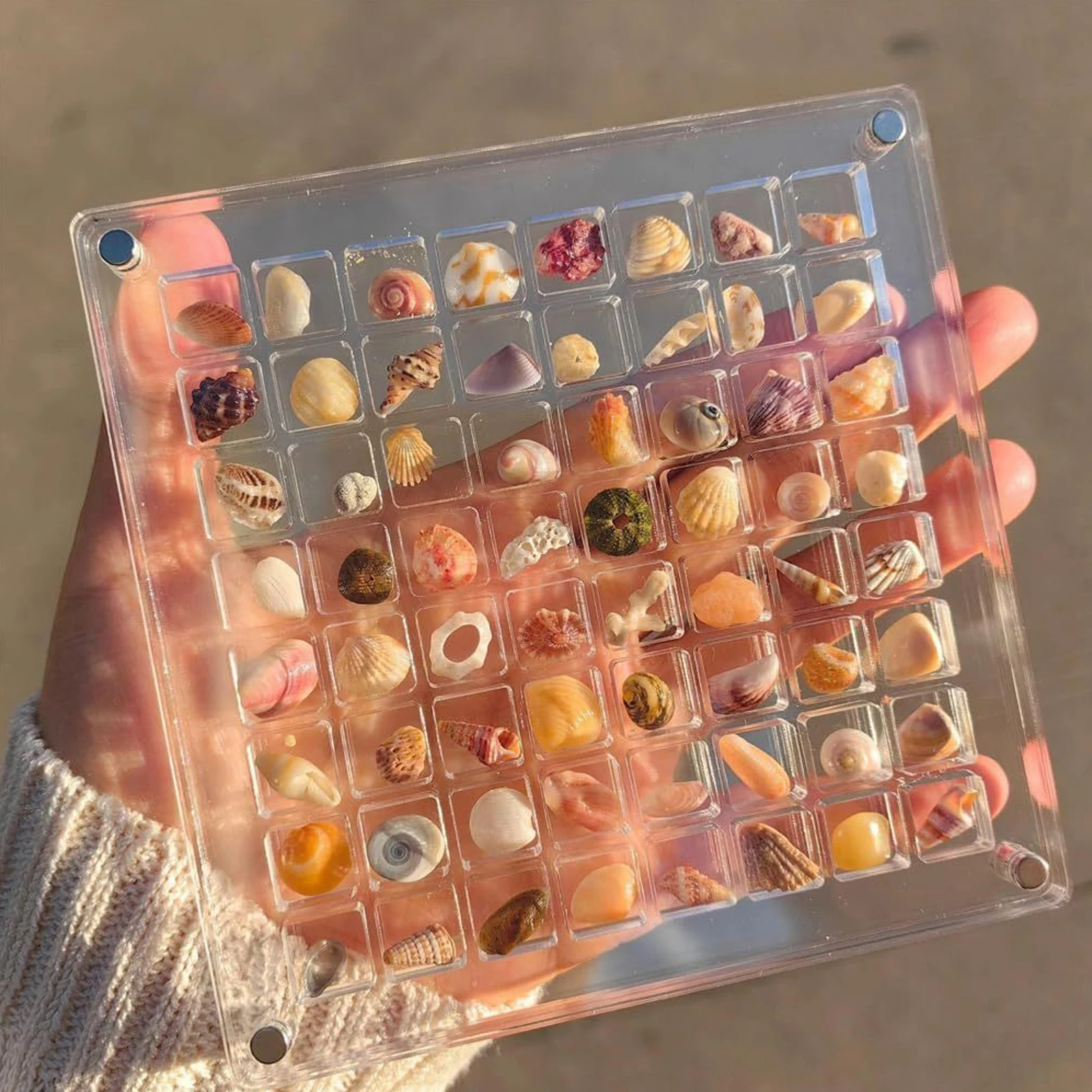 

Acrylic Seashell Display Box 36/64/100 Grid Clear Craft Decorative Rack Multifunctional Craft Storage Case Conta