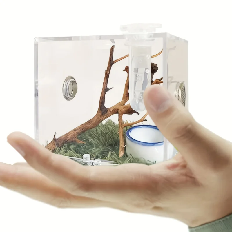 

Acrylic Critter Keeper Reptile Feeding Box Spider Enclosure Snail Container Reptile Terrarium Small Non-capture Landscape Box