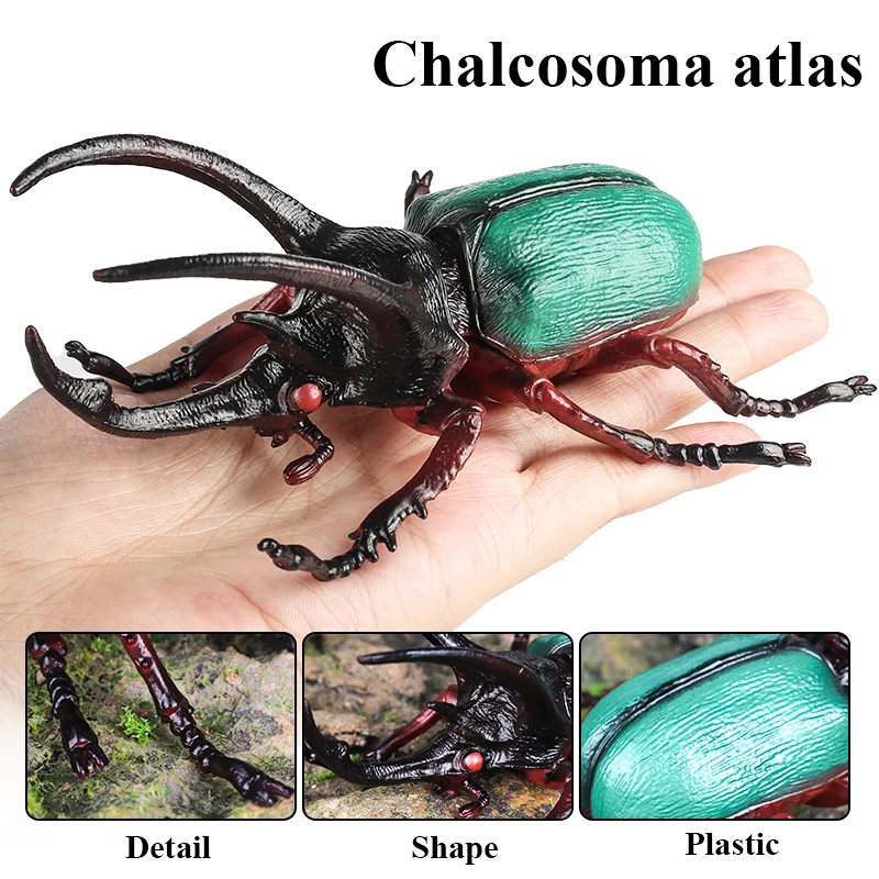 تمثال نموذج حيوانات للحشرات من Oenux ، شخصيات عمل تعليمية ، فراشة ، نملة ، يعسوب ، عنكبوت ، نحلة ، فرس البحر ، عقرب ، هدية لعبة للأطفال