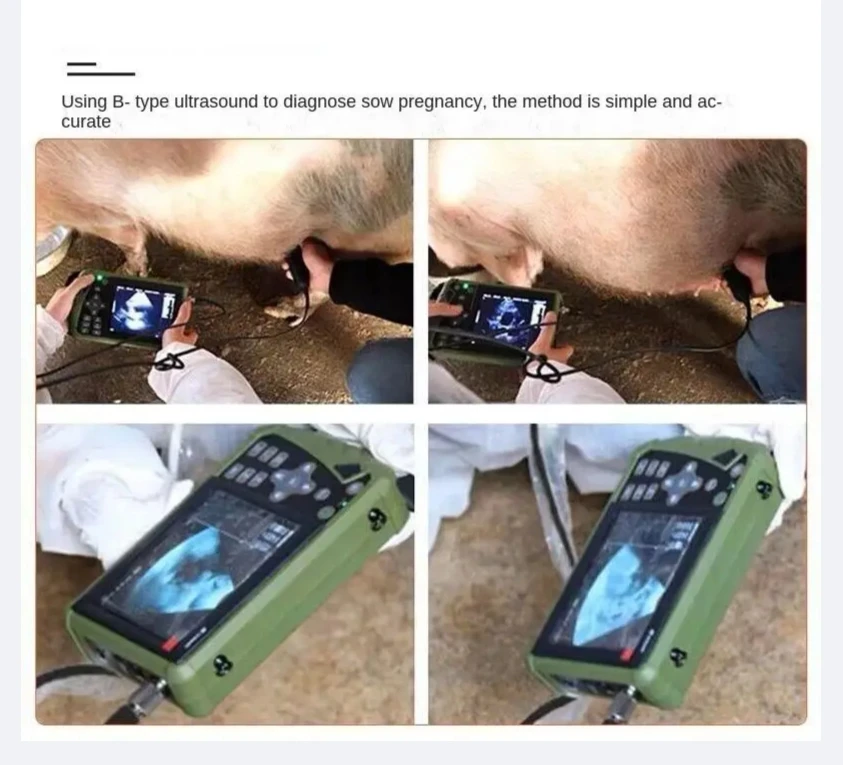 Veterinary B-ultrasound Machine Sow Pregnancy Tester Pig Sheep Cat Dog Pregnancy Test Portable Pet Tester S1