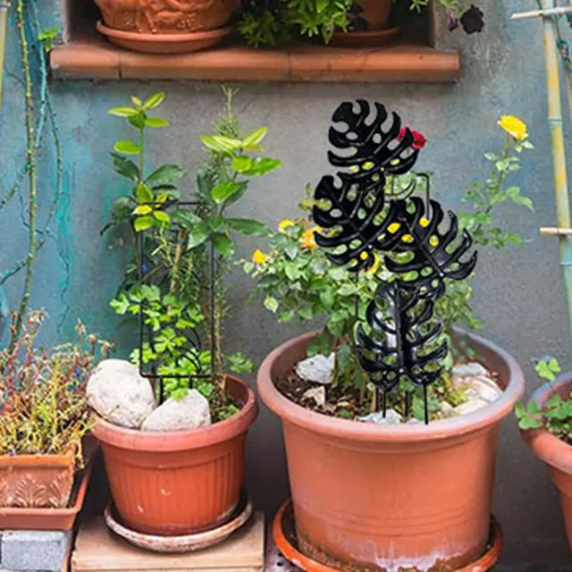 Fémrácsos A Kerti Növényi Mászóállvány Cserepes Növények Mászó Növényeihez