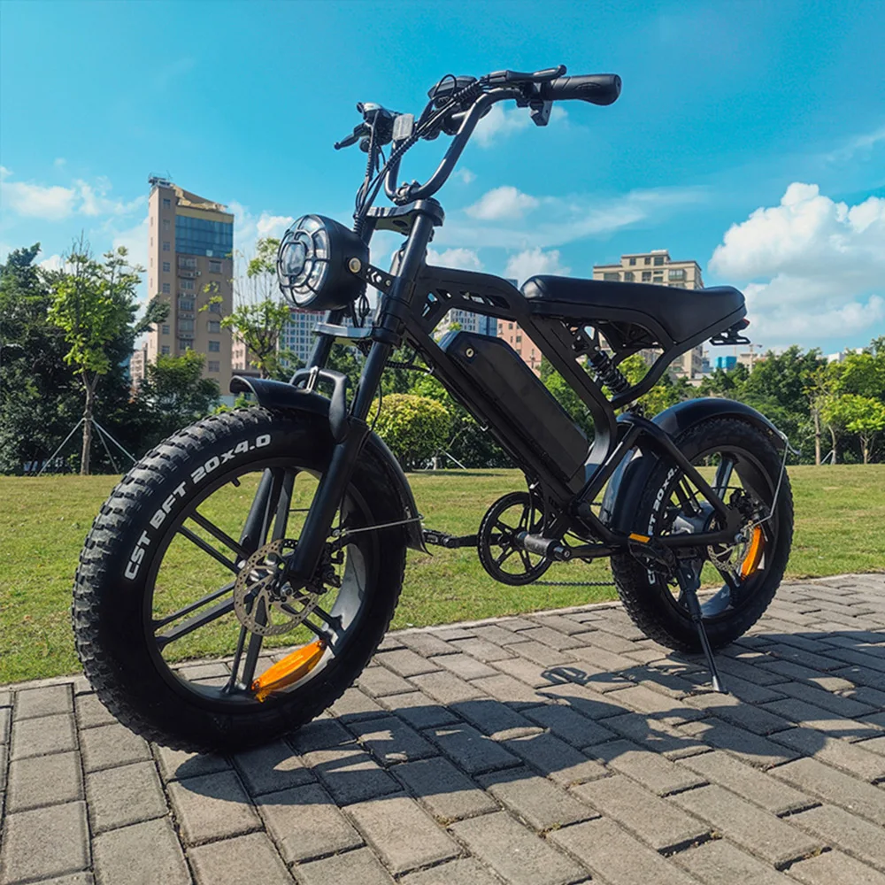 Deren V20 20 Inch Fat Tire Fatbike 750w Ebike Bicycle Electric Bike Electric City Bike For Sale