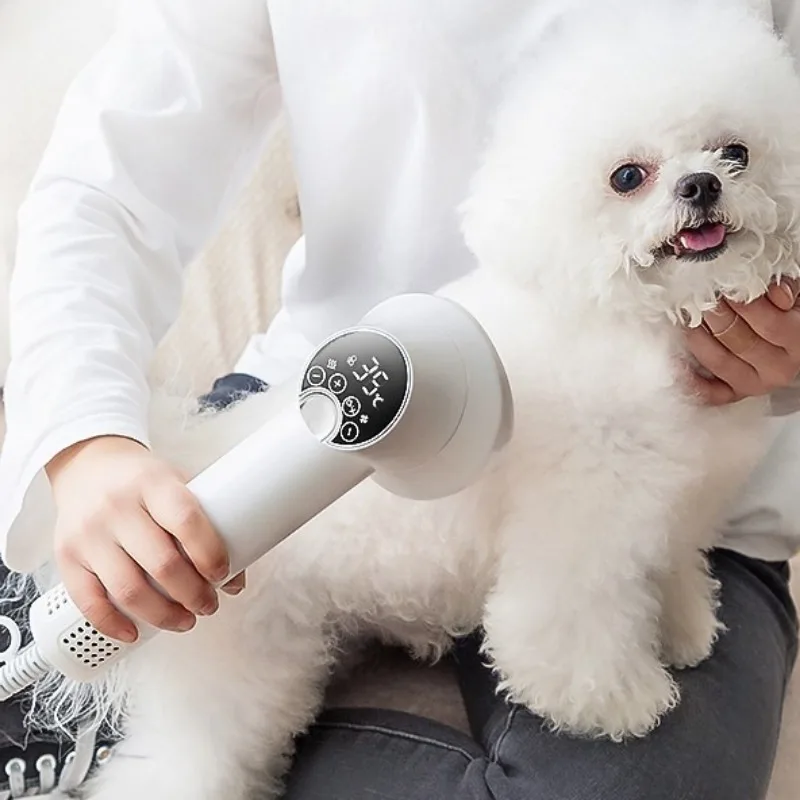 Professional Pet Hair Dryer Dog Cat Puppy Hot Cold Wind Air Brush Strong Power Special Drying Machine Dog Supplies Pet Products pet hair dryer
