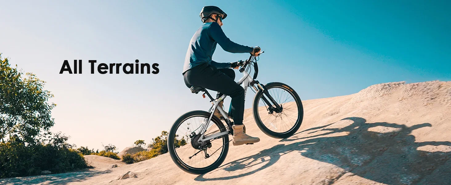 ebike