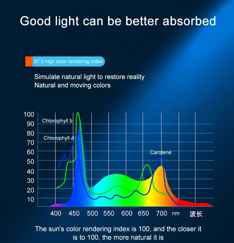 LED Components