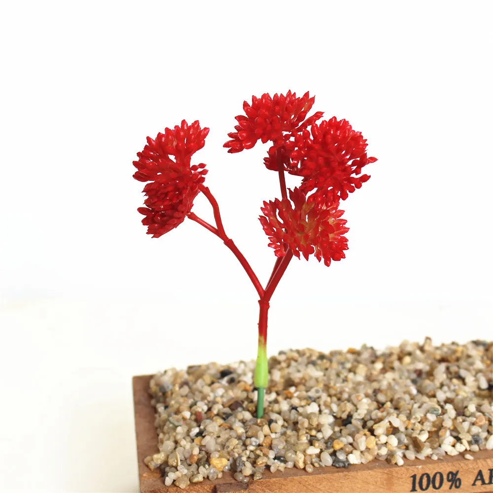 Colorful Mini Succulent Plant Set for DIY Wall Flower Arrangements