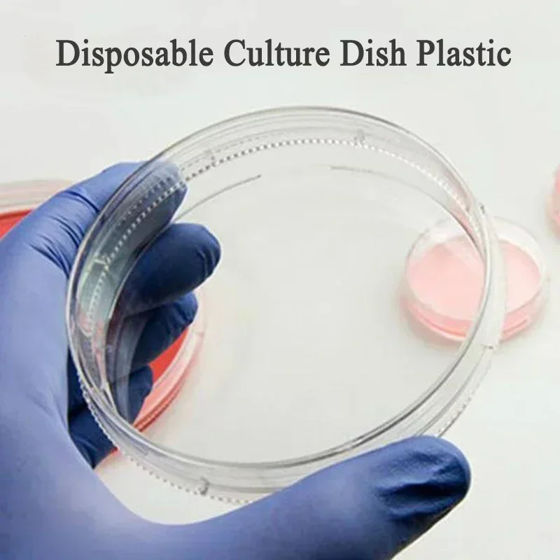 10pcs Thermo Scientific Nunc Cell Cultures Dish 35/60/100mm Sterile Plastic Disposable Petri Dishes