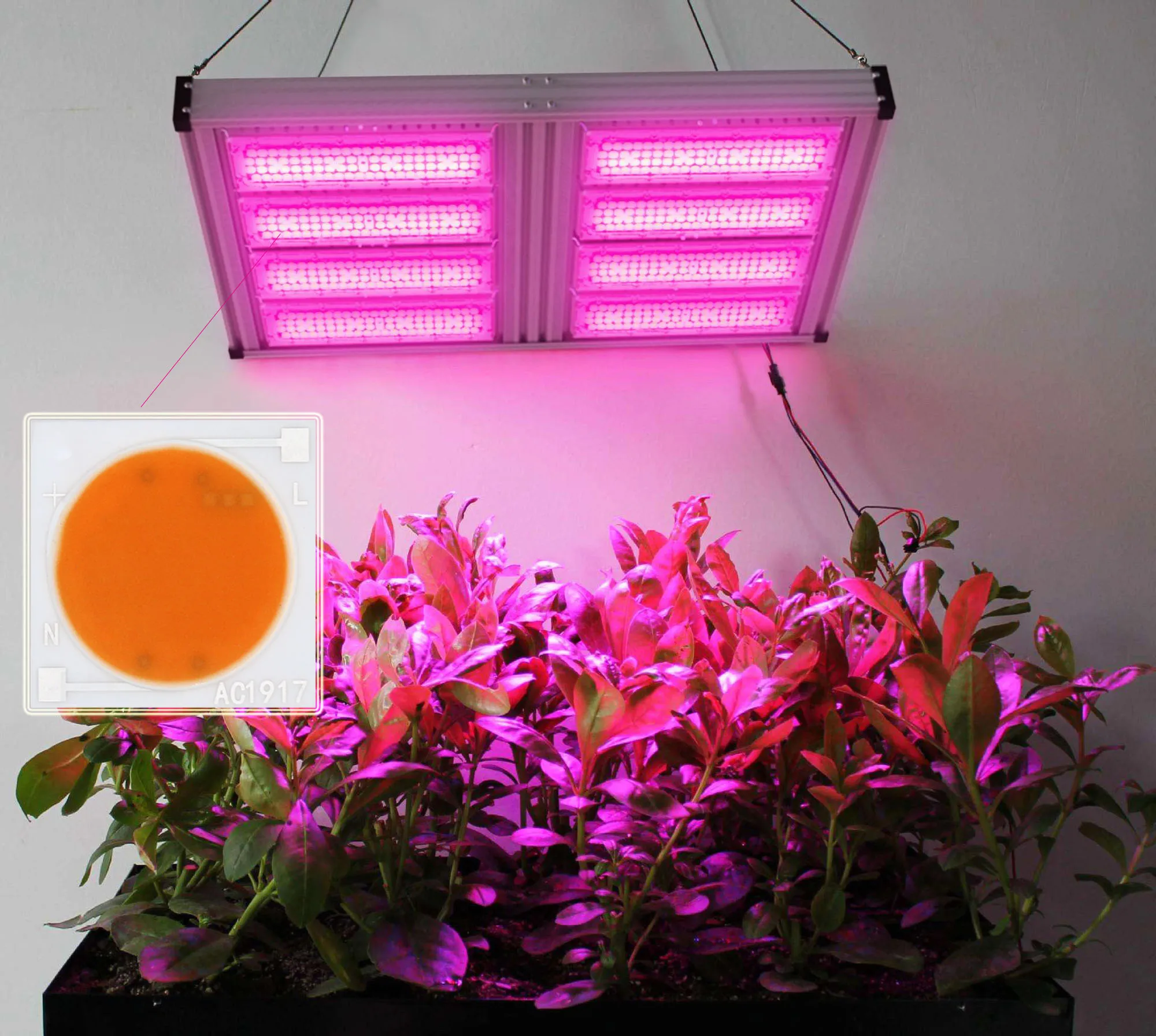 5PCS Led chip Grow light 30W 20W 10W 220V Full Spectrum LED Ceramic Chip For tent Growbox Lighting grow indoor Greenhouse DIY