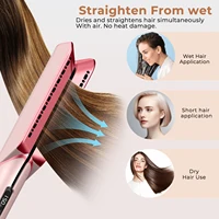 Lisseur et sèche-cheveux 2 en 1, lisseur à ions négatifs, utilisation sur cheveux secs et humides, moteur sans balais haute vitesse, brosse lissante 3