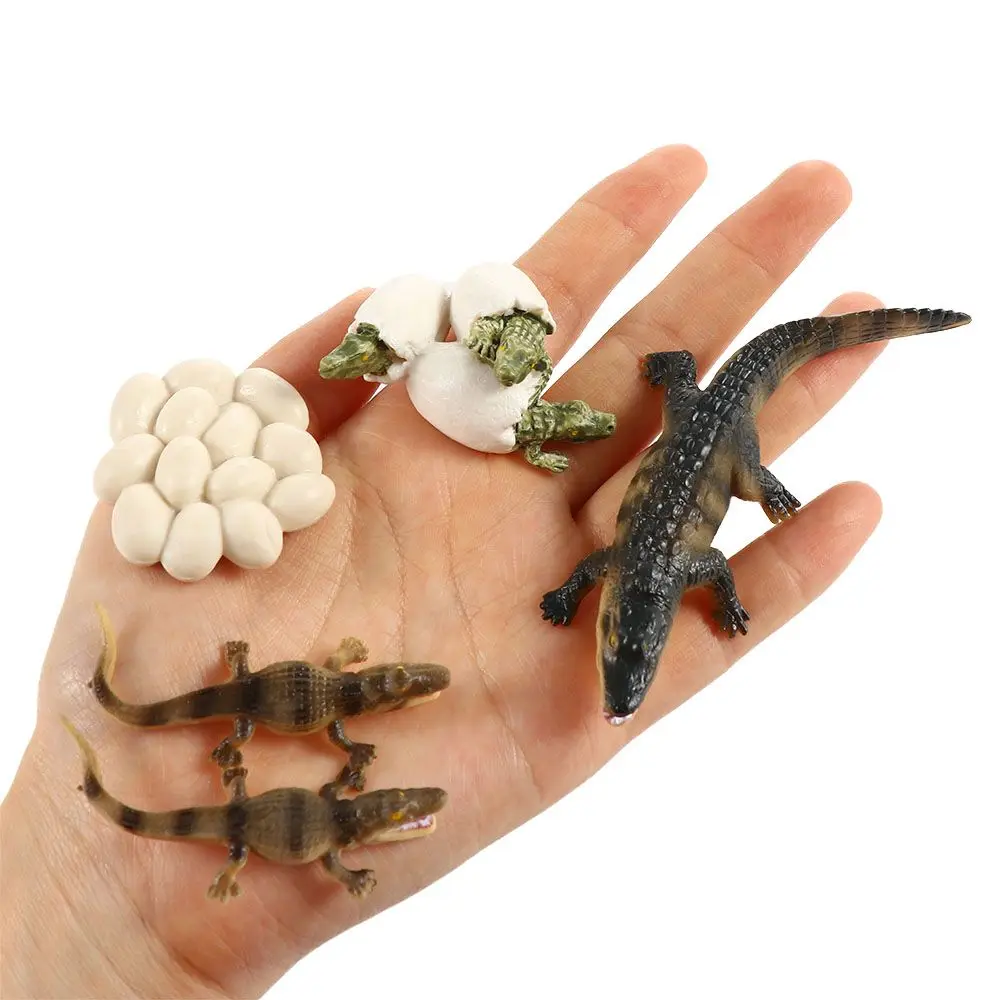 

Simulation Animal Action Figures Children Cobra Primitive Human Model Simulation Human Evolution Crocodile Life Growth Cycle