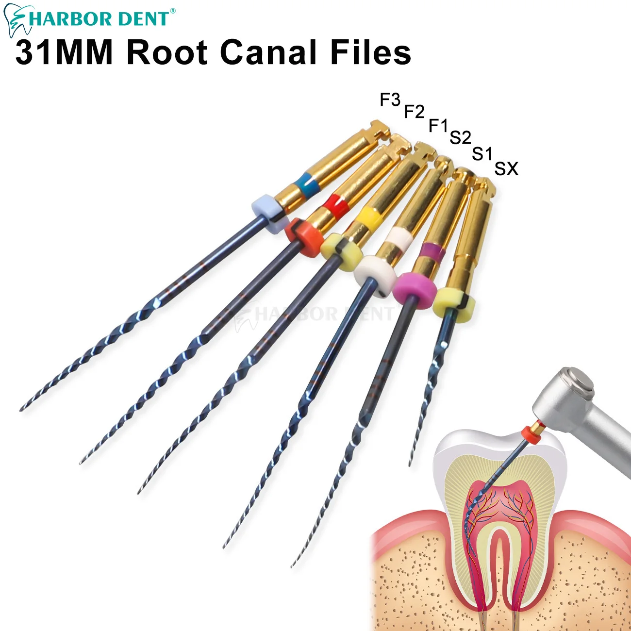 6Pcs/Box 31mm Dental Rotary Activation Endodontic Root Canal Files NiTi ...