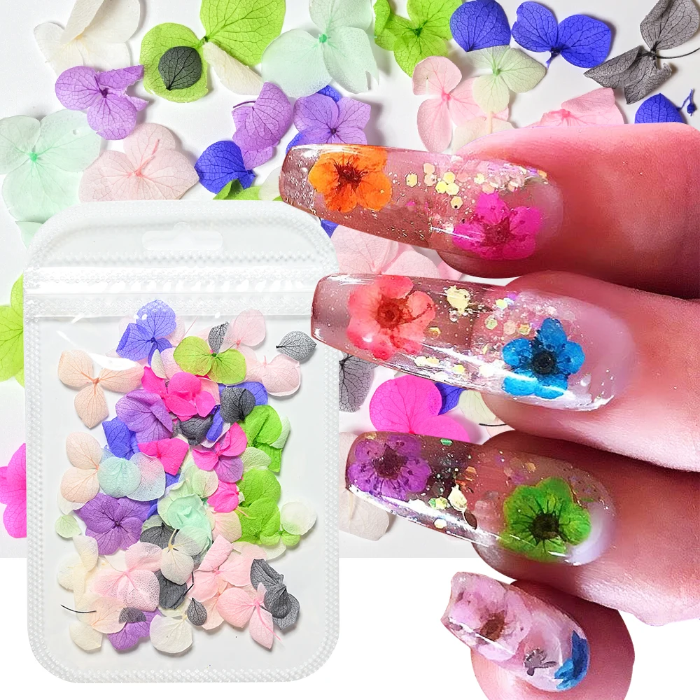 Dried Flowers Nail Art DIY Real Dried Flowers for Nail Decoration Art Craft  Making Jewellery Simulation Decoration Holiday - AliExpress