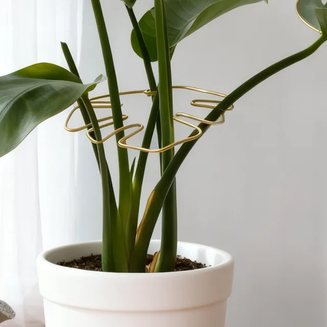 ที่ค้ำต้นไม้โลหะปรับได้ 5/1 ชิ้น สำหรับพยุงกิ่งไม้เลื้อย ต้นมอนสเตอร่า  แบบหนีบ  สำหรับปลูกในบ้านและสวน 6