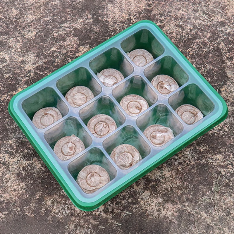 Seed Starter Tray 6/12 Holes With Humidity Dome Succulent Propagation Mini Greenhouse Germination Seed Starter Tray Seedling Tray