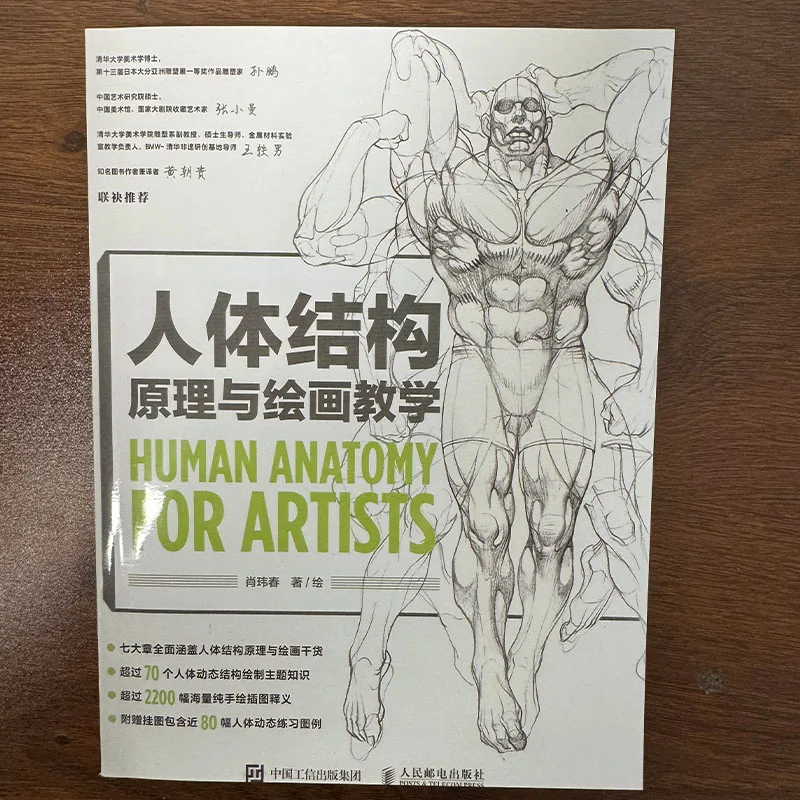 Libro da disegno professionale per anatomia umana per artisti Principi della struttura corporea 80 guide di posa