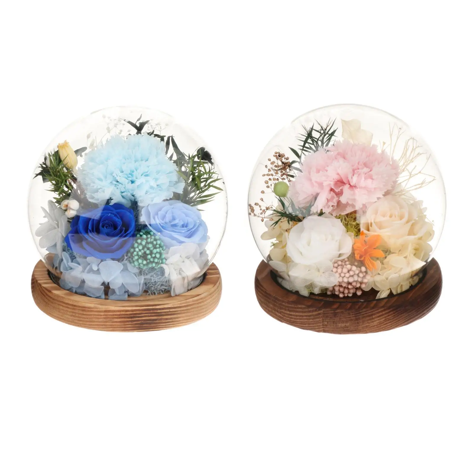 Preserved Flowers Gift Unique Gift Mothers Day Gifts Light up Carnation in Glass Dome Carnation Gift for Women for Mom Grandma