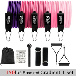 Enhanced Resistance Bands Set for Home Fitness and Strength Training (150lbs Pink Gradient)