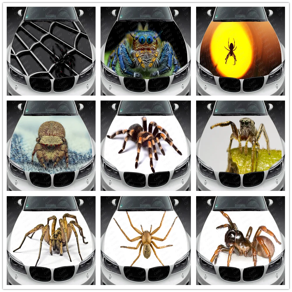 Spider Car Decal Car Hood Wrap Decal Vinyl Sticker Full Color Graphic