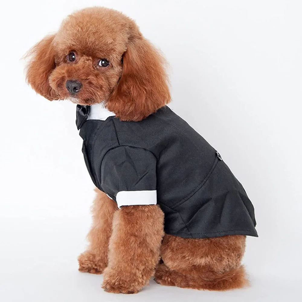 Elegant Dog Tuxedo Suit in Black