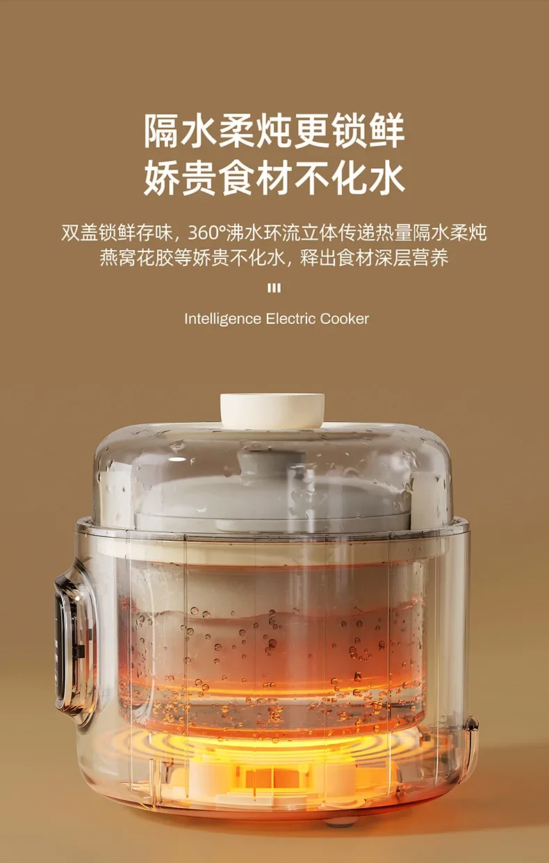 Electric Steamer Ceramic Soup Pot for Home Cooking Slow Cooker Congee Maker Small Size Porridge Ideal Bird's Nest