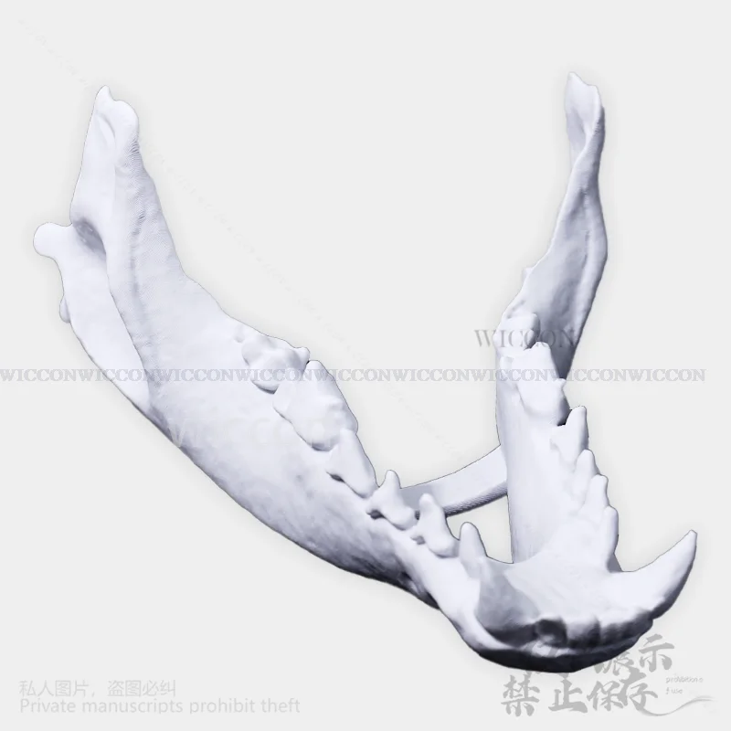 3D Print Head Fursuit Animal Furry Cosplay Dog Skull Kigurumi Props Polylactic Acid Mask Halloween Christmas Party Customized