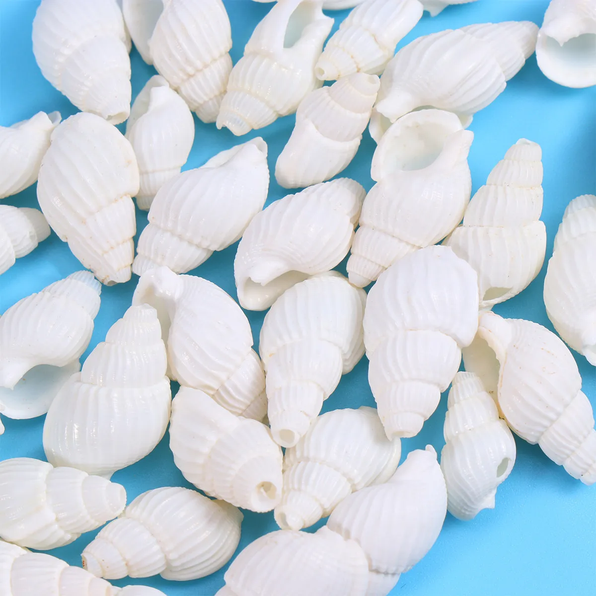 150Pcs 우아한 조가비 껍질 DIY 액세서리 일상 착용을위한 자연 바다 테마 귀걸이 목걸이 파티 웨딩 공예 쉘