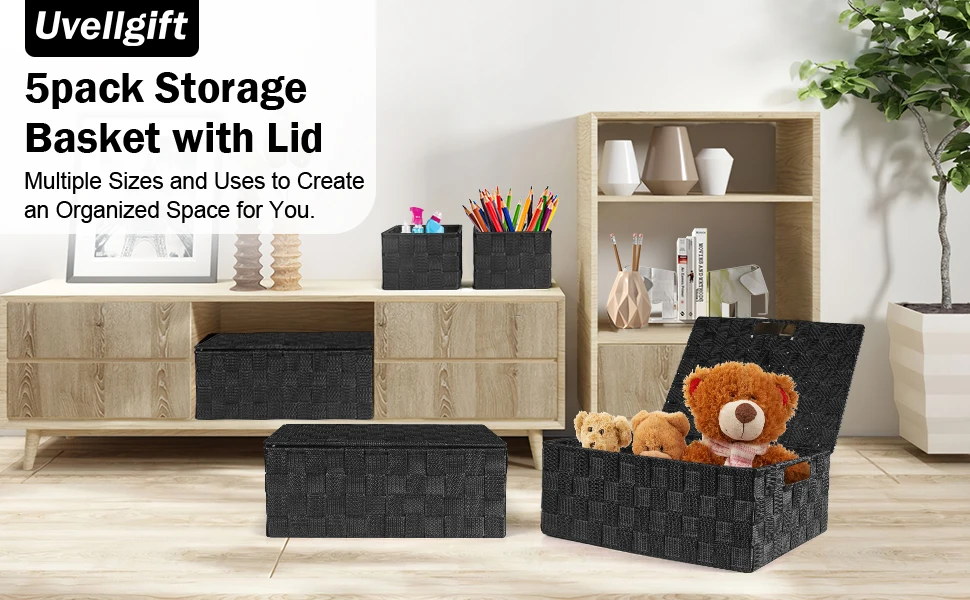 5pack storage basket