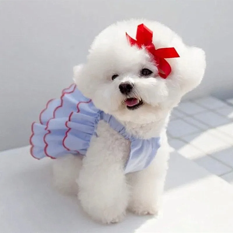 Summer Pet Dog Dress Skirt Thin Mesh Dogs Clothes For Small And Medium Chihuahua French Bulldog Yorkshire Costume Perro