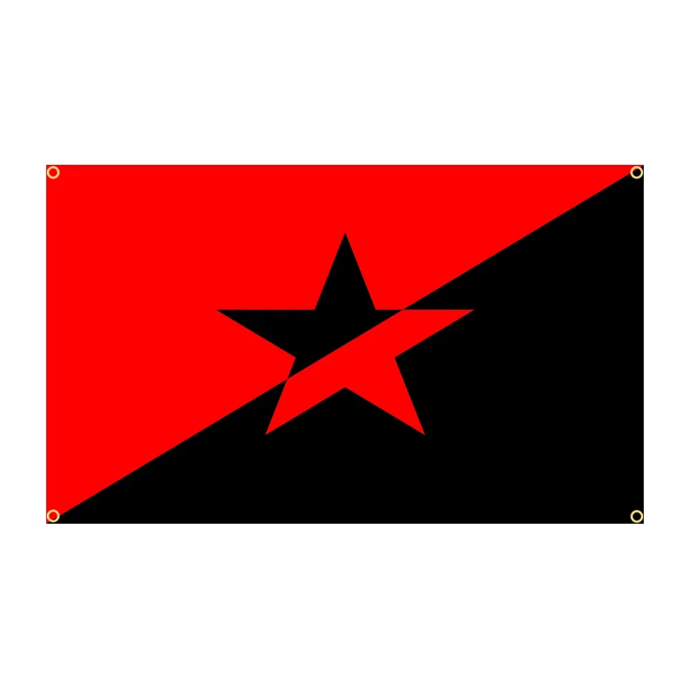 FLAGDOM 90x150cm 3x5 Ft Anarchist Black Cat Flag for Decor Anarchy Star Flag(Anarchy Flag)